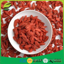 Ningxia goji Beere